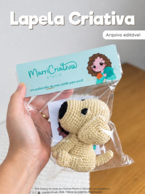 Lapela Criativa - Arquivo Editável no Canva
